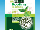 綠化苗木生根劑哪個(gè)廠家好 廣東苗木生根靈產(chǎn)品解析與選購指南
